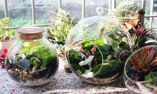 nu-kien-truc-su-lap-nghiep-voi-nghe-thiet-ke-cay-canh-1434516585