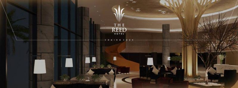 reed-hotel-tuyen-01-nhan-vien-thiet-ke-marketing-1441938819